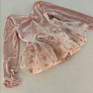 Cheeky Plum Blush Velvet Leotard